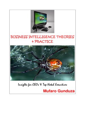 cover image of Business Intelligence Theories and Practice